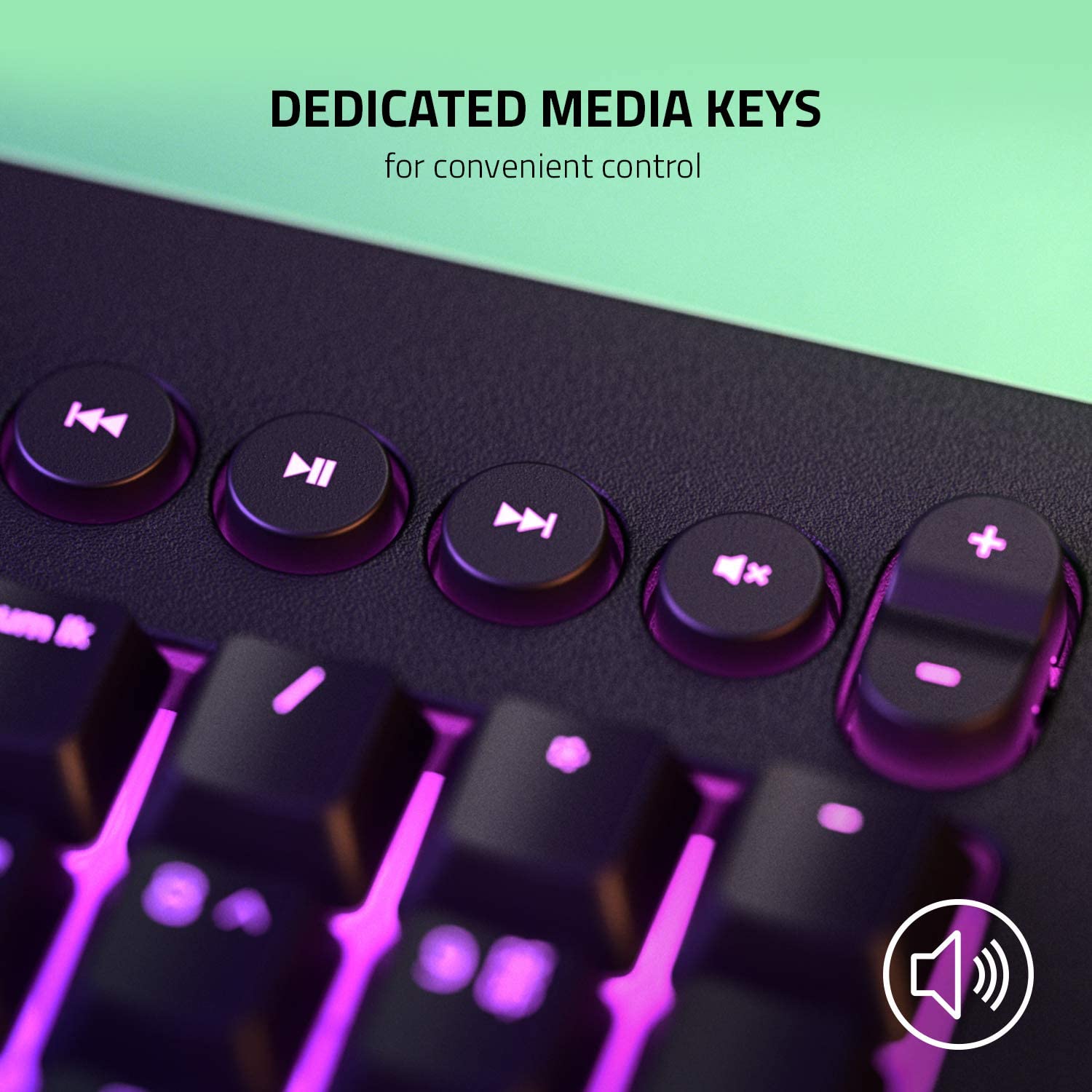 Razer Cynosa Chroma V2- Gaming Keyboard Media Keys